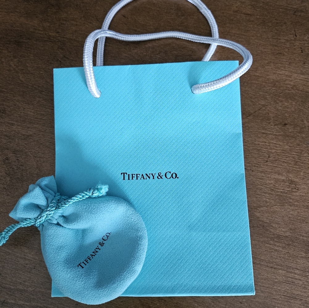 Tiffany & Co. Store bag and Velvet bag set.